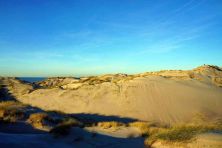 seul sur le sable .jpg